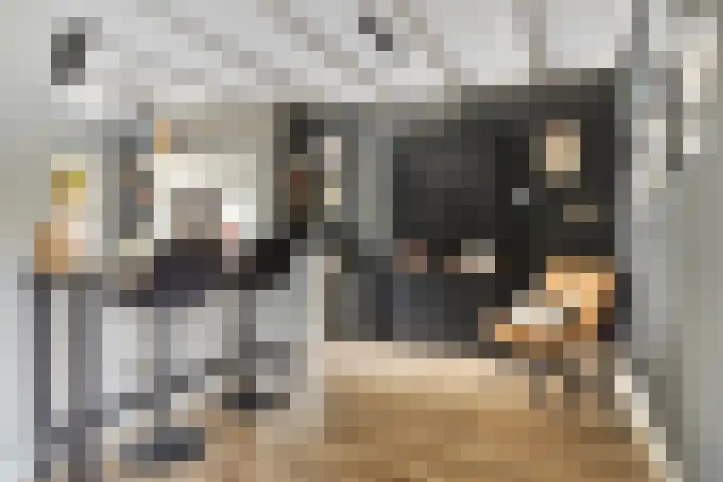 Kennipwerf 4 Hendrik-Ido-Ambacht thumbnail 13