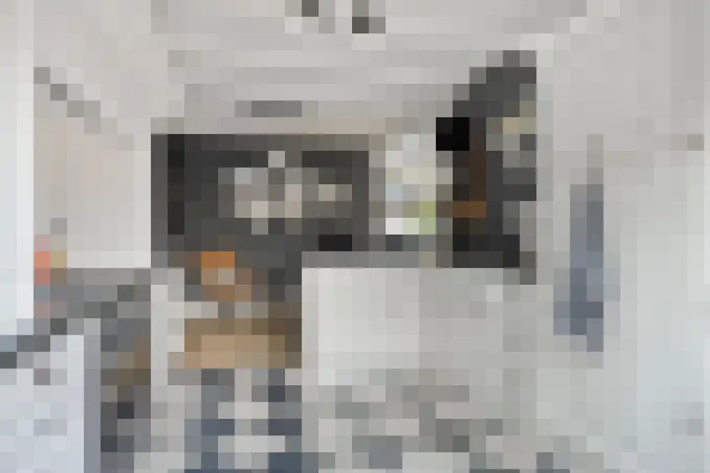 Kennipwerf 4 Hendrik-Ido-Ambacht thumbnail 15