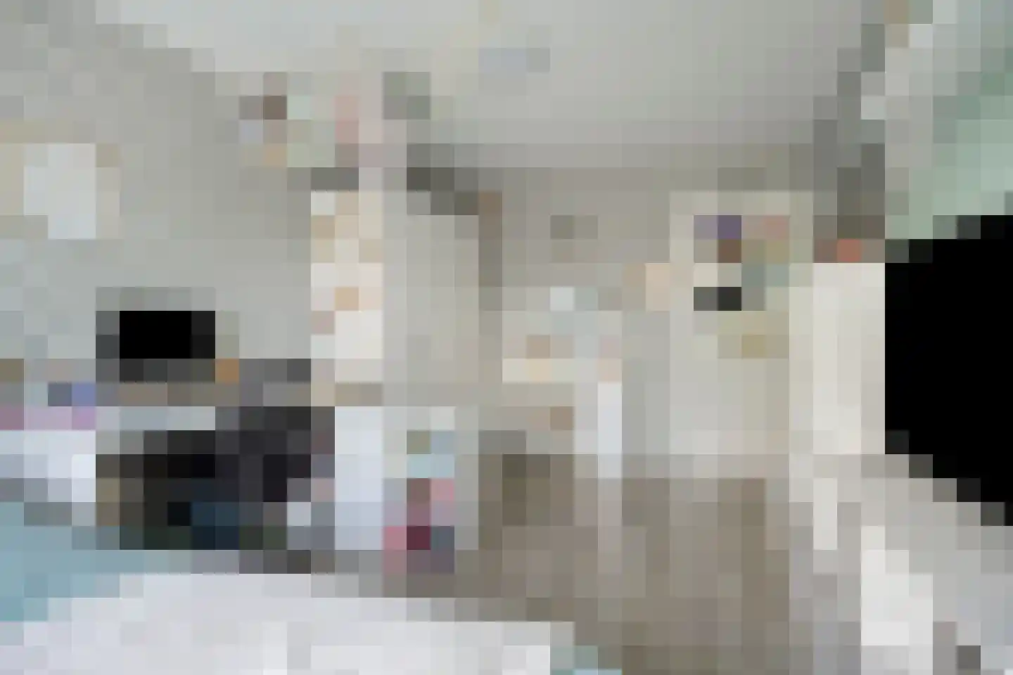 Kennipwerf 4 Hendrik-Ido-Ambacht thumbnail 23