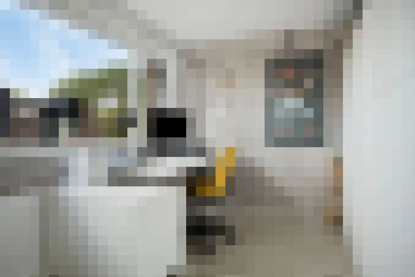 Kennipwerf 4 Hendrik-Ido-Ambacht thumbnail 24