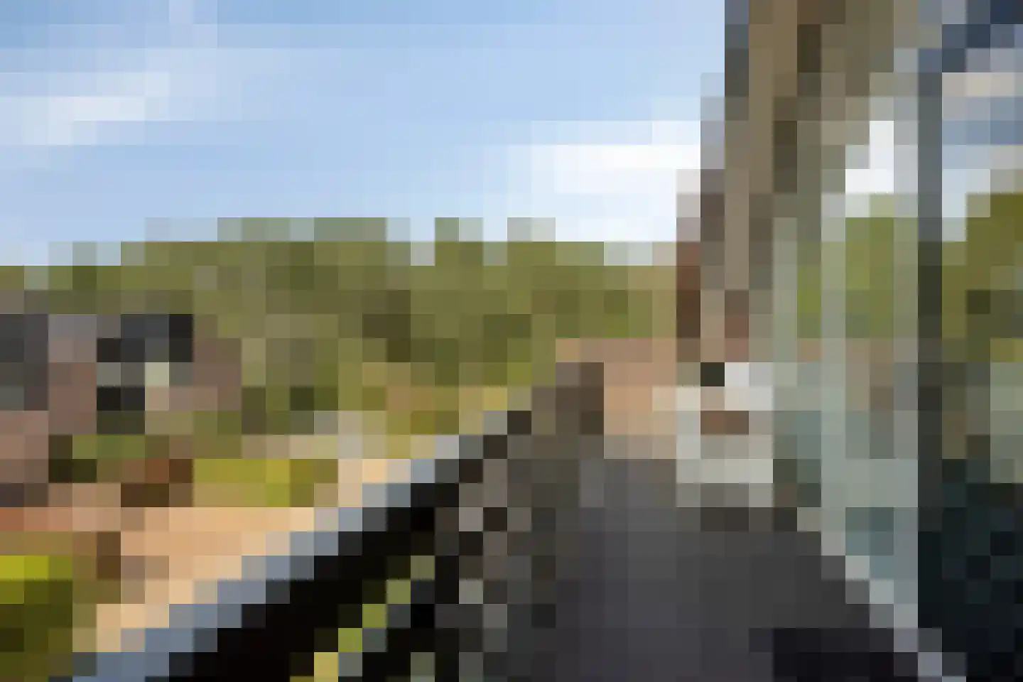 Kennipwerf 4 Hendrik-Ido-Ambacht thumbnail 36