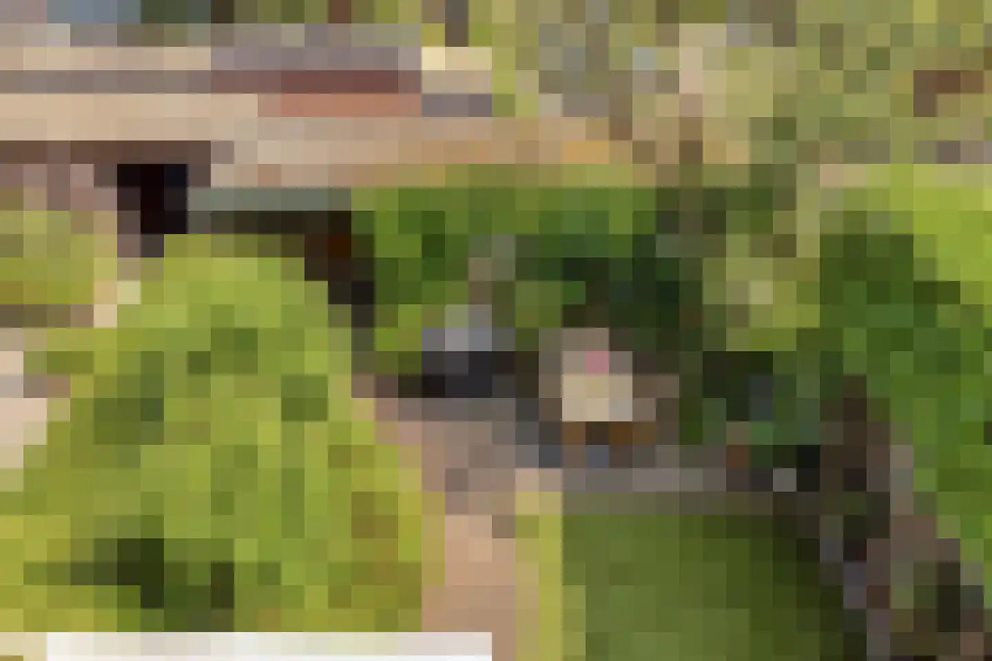 Kennipwerf 4 Hendrik-Ido-Ambacht thumbnail 37