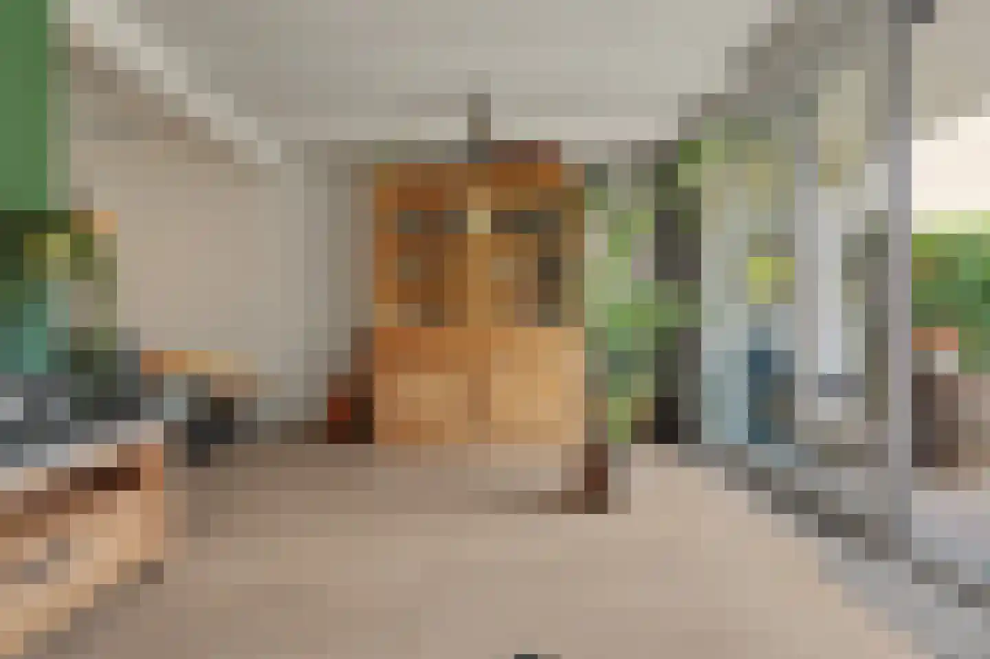 Kennipwerf 5 Hendrik-Ido-Ambacht thumbnail 19