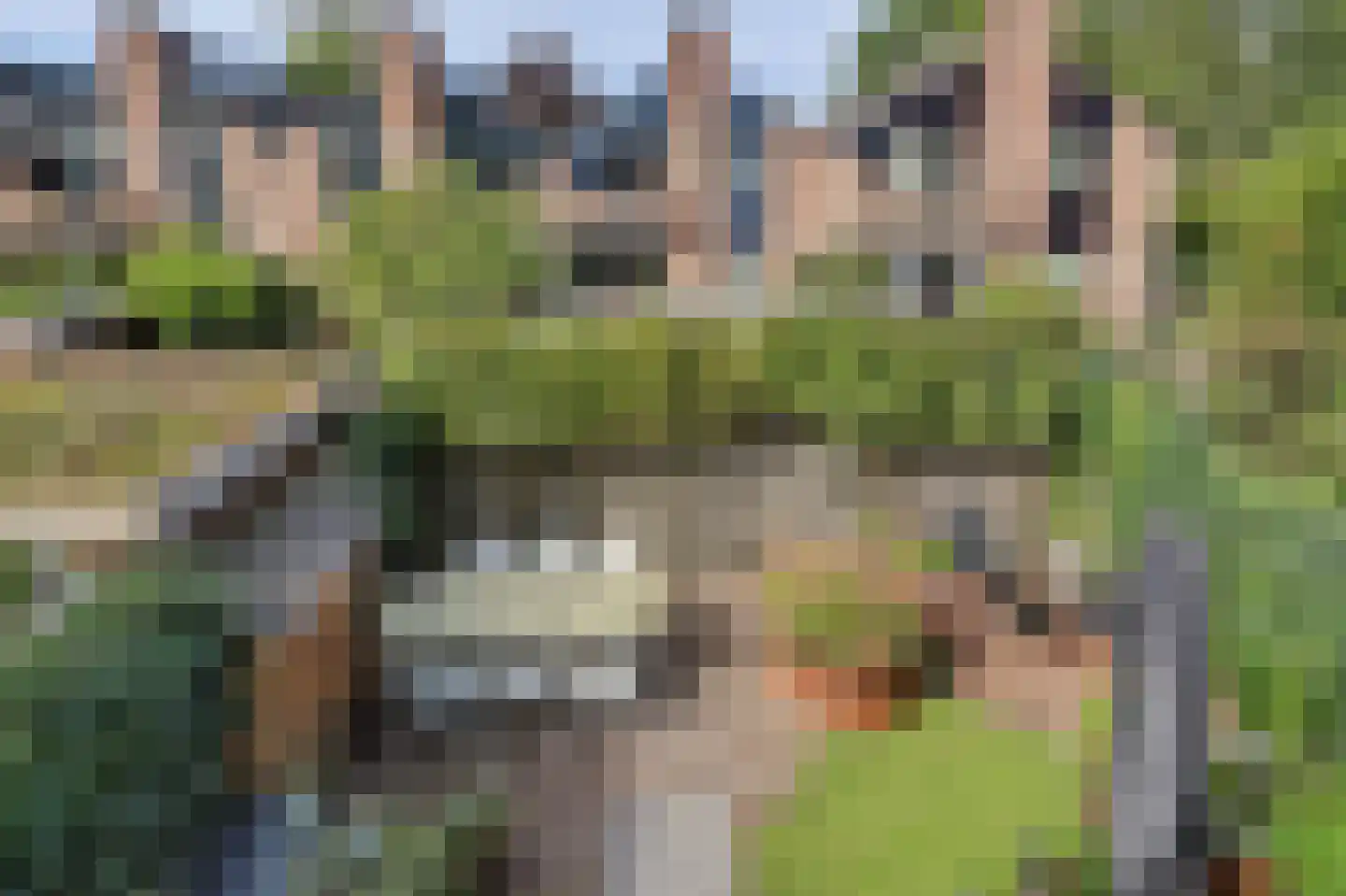Kennipwerf 5 Hendrik-Ido-Ambacht thumbnail 52