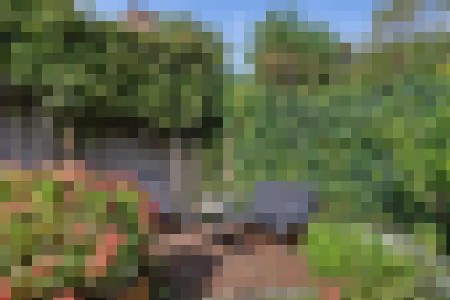 Kennipwerf 5 Hendrik-Ido-Ambacht thumbnail 56