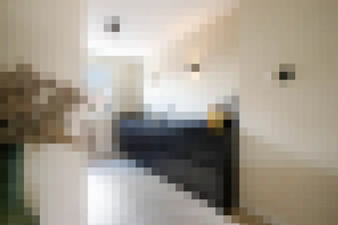 Kensington 3 Zevenhuizen thumbnail 18