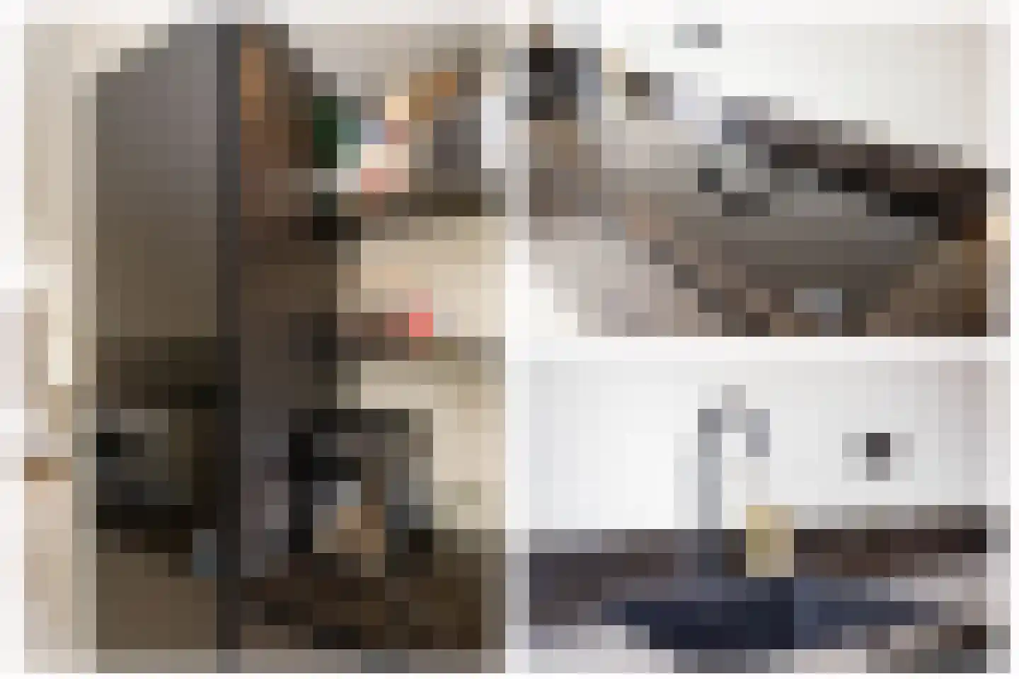 Kensington 3 Zevenhuizen thumbnail 22