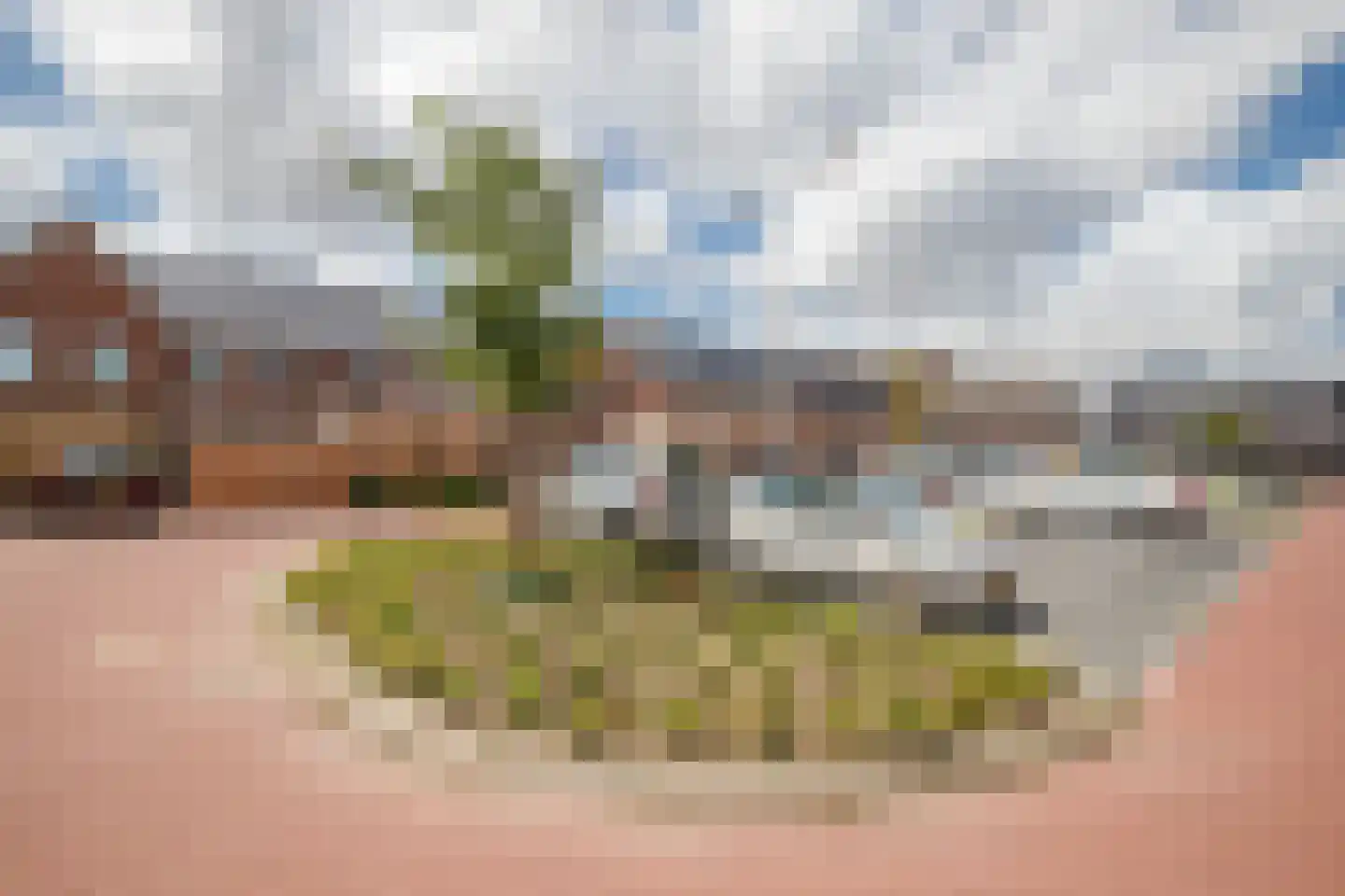 Kensington 3 Zevenhuizen thumbnail 53