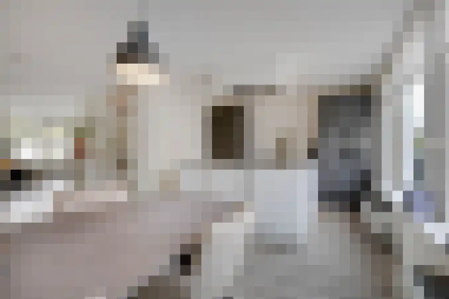Kent 7 Doetinchem thumbnail 4