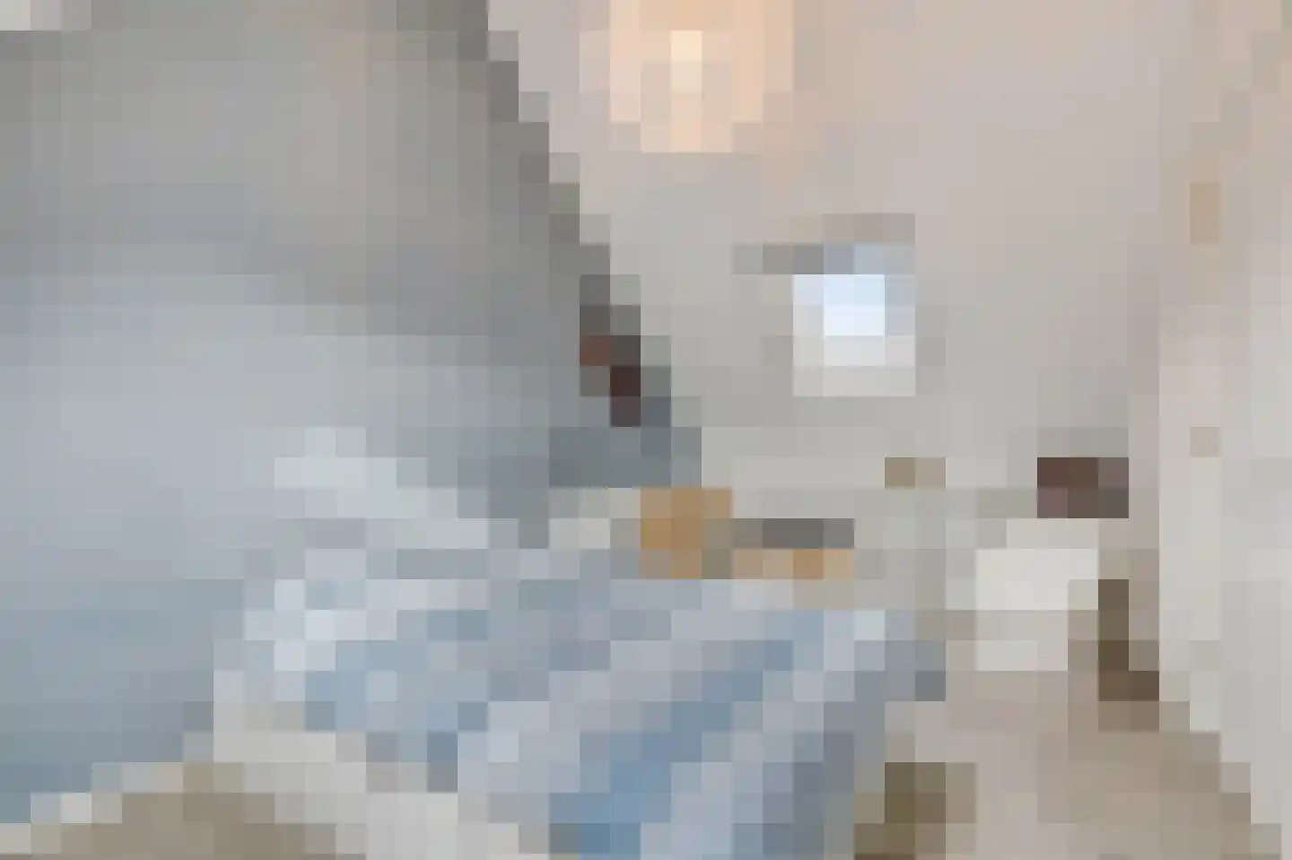 Kent 7 Doetinchem thumbnail 51