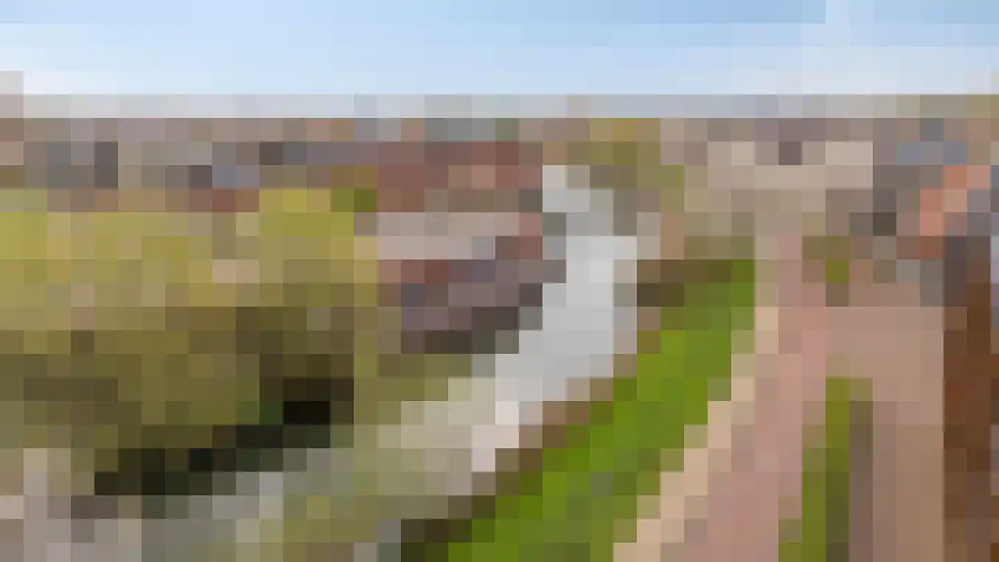 Kent 7 Doetinchem thumbnail 63