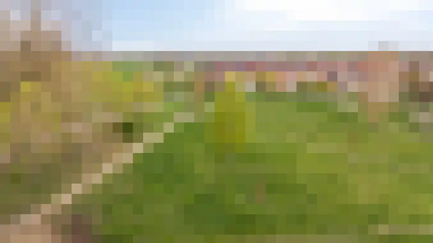 Kent 7 Doetinchem thumbnail 7