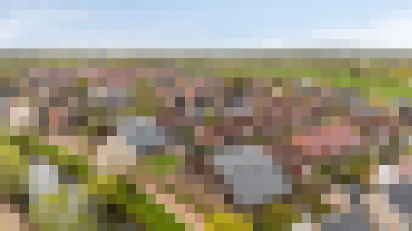 Kent 7 Doetinchem thumbnail 8