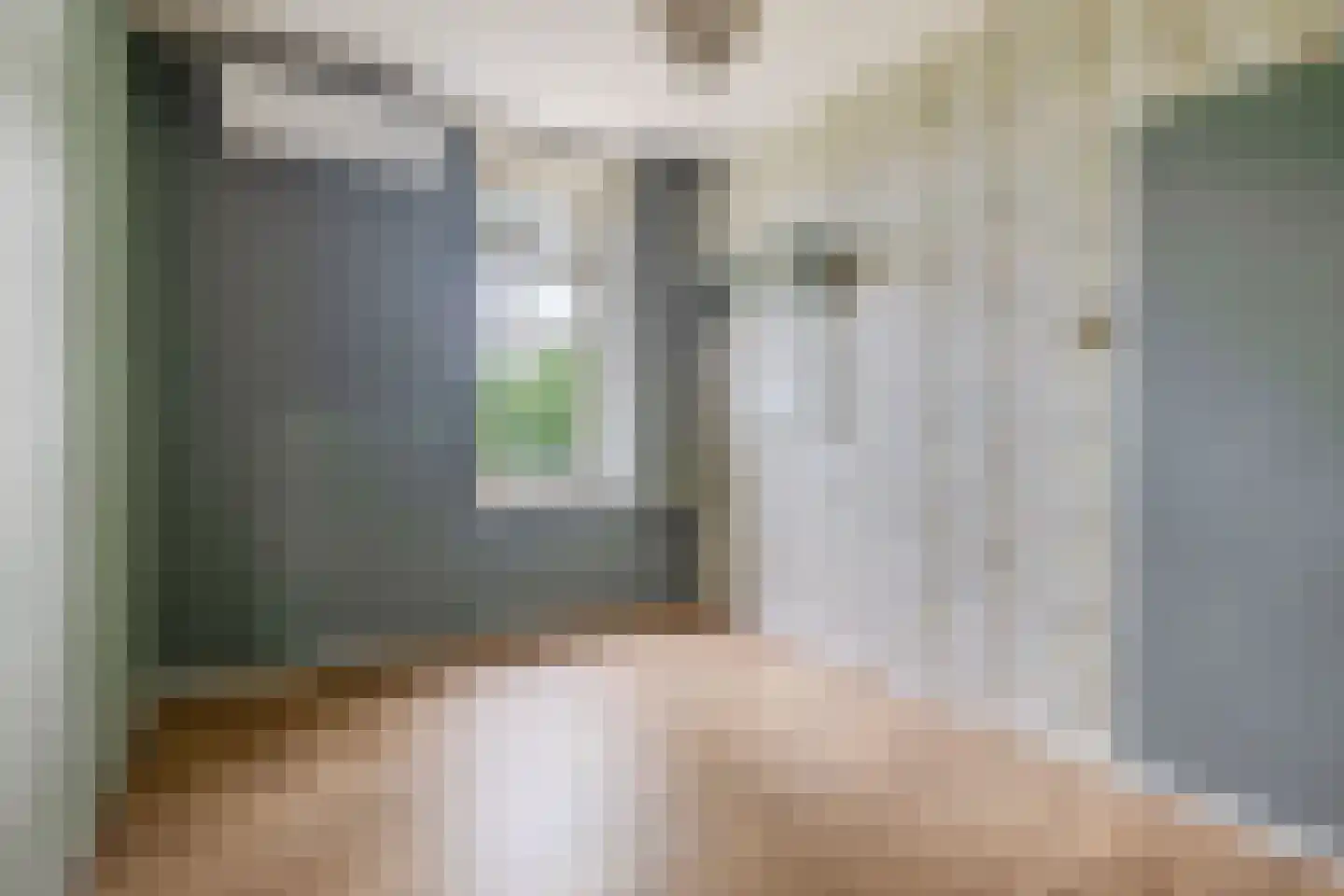 Kentersweg 16 Blijham thumbnail 19