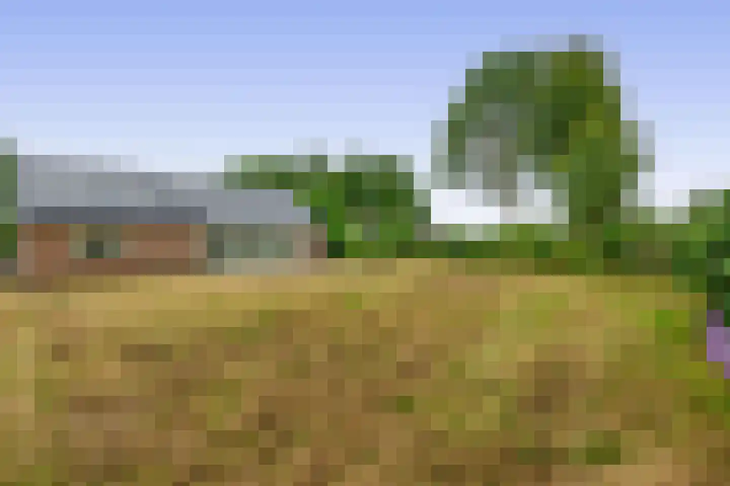 Kentersweg 16 Blijham thumbnail 26