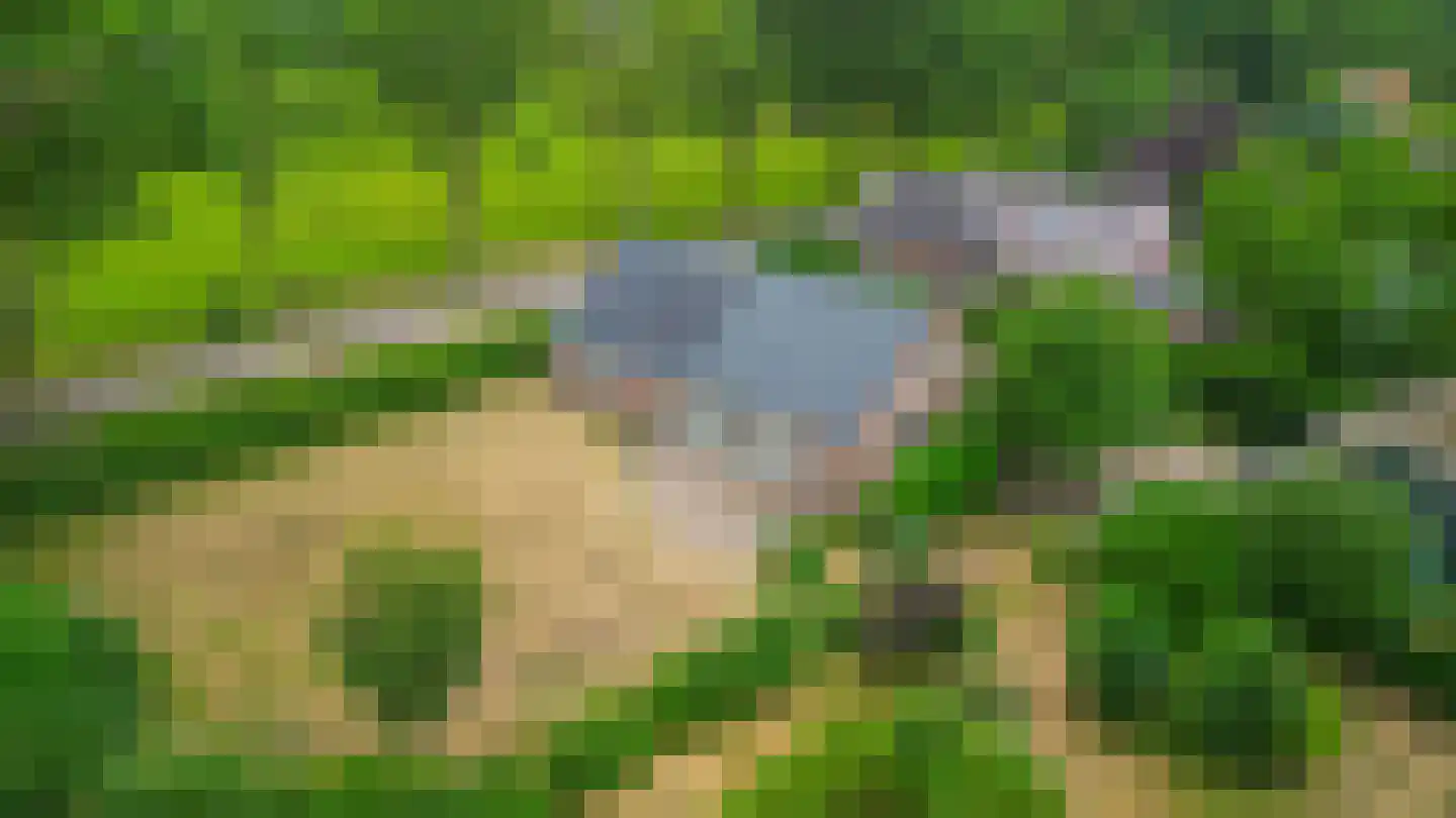 Kentersweg 16 Blijham thumbnail 4