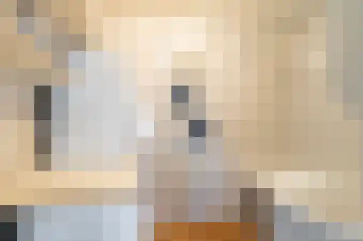Kentersweg 19 Blijham thumbnail 22