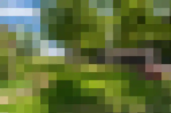 Kentersweg 19 Blijham thumbnail 30