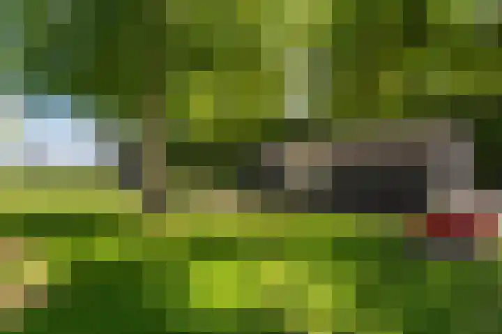 Kentersweg 19 Blijham thumbnail 31