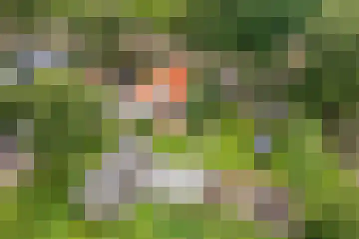 Kentersweg 19 Blijham thumbnail 42