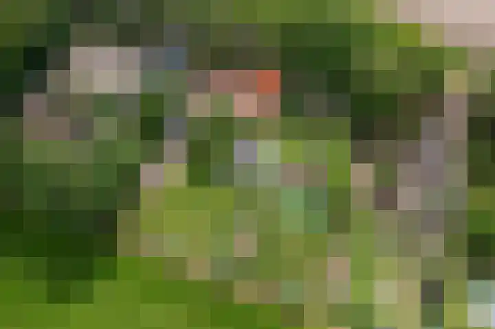 Kentersweg 19 Blijham thumbnail 43