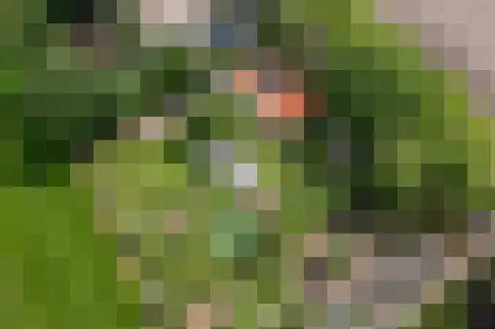 Kentersweg 19 Blijham thumbnail 44