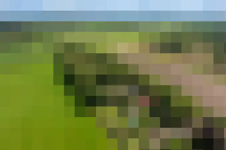 Kentersweg 19 Blijham thumbnail 45