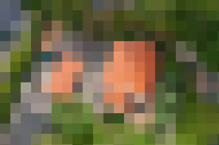 Kentersweg 19 Blijham thumbnail 47
