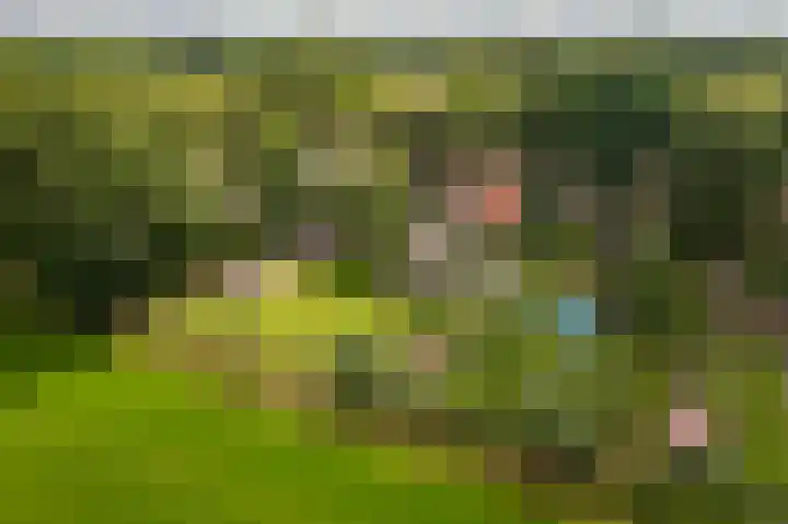 Kentersweg 19 Blijham thumbnail 5