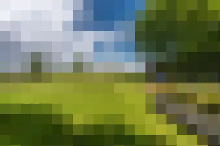 Kentersweg 19 Blijham thumbnail 50