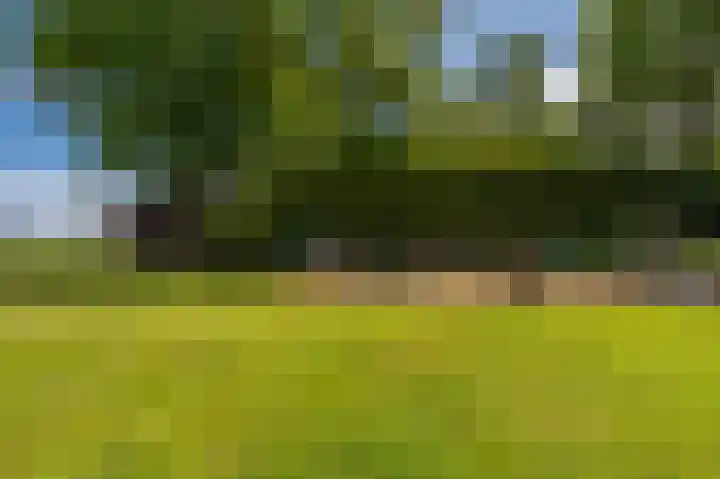 Kentersweg 19 Blijham thumbnail 52