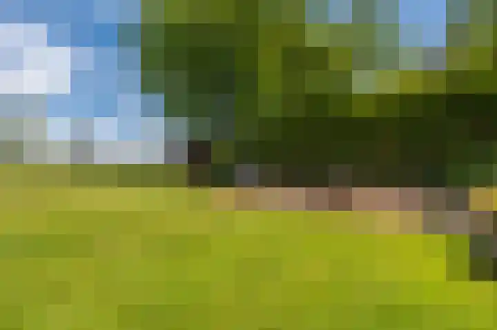 Kentersweg 19 Blijham thumbnail 54