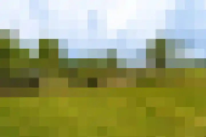 Kentersweg 19 Blijham thumbnail 55