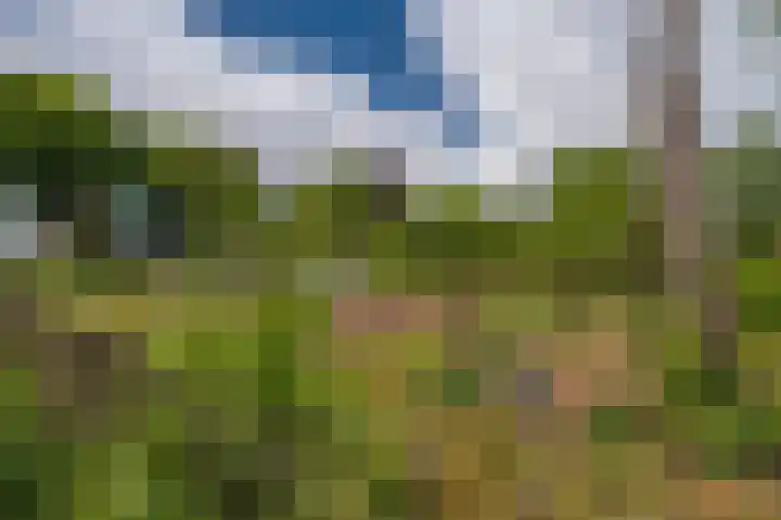 Kentersweg 19 Blijham thumbnail 57