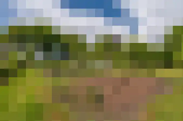 Kentersweg 19 Blijham thumbnail 58