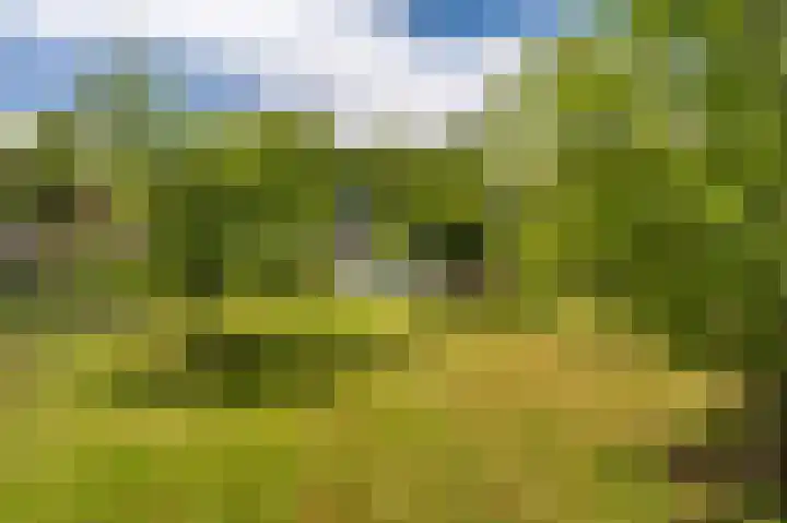 Kentersweg 19 Blijham thumbnail 59