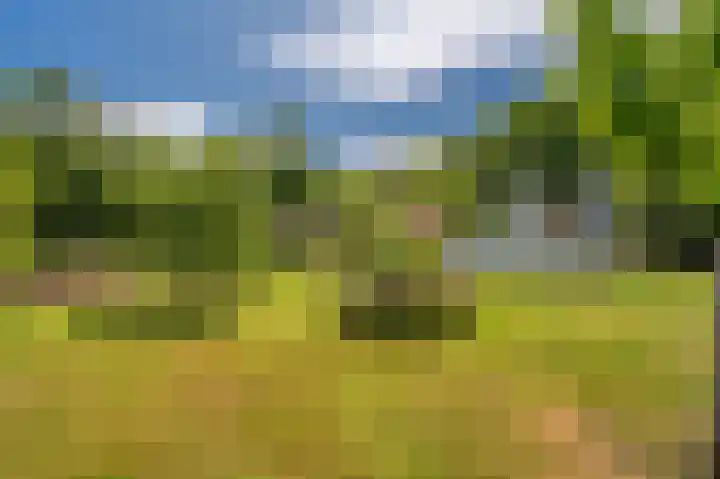 Kentersweg 19 Blijham thumbnail 60