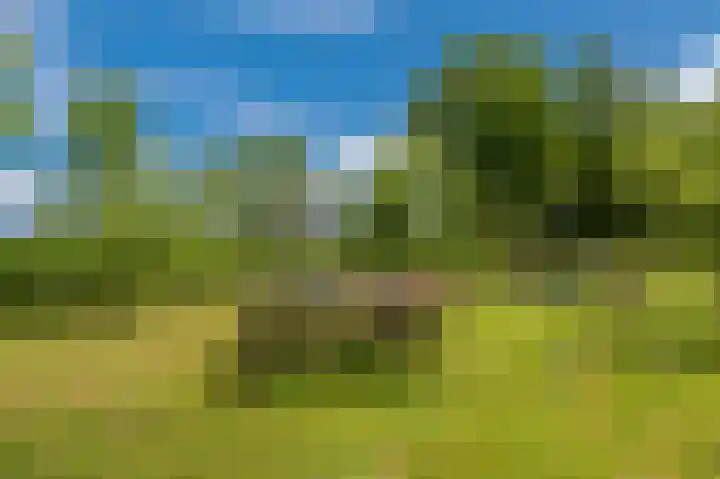 Kentersweg 19 Blijham thumbnail 61