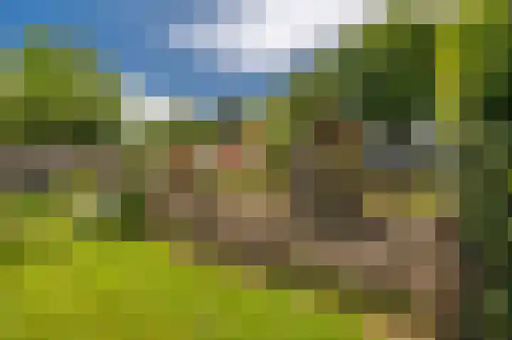 Kentersweg 19 Blijham thumbnail 62