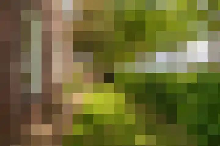 Kentersweg 19 Blijham thumbnail 67