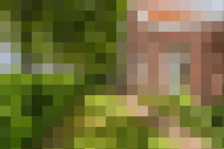 Kentersweg 19 Blijham thumbnail 69