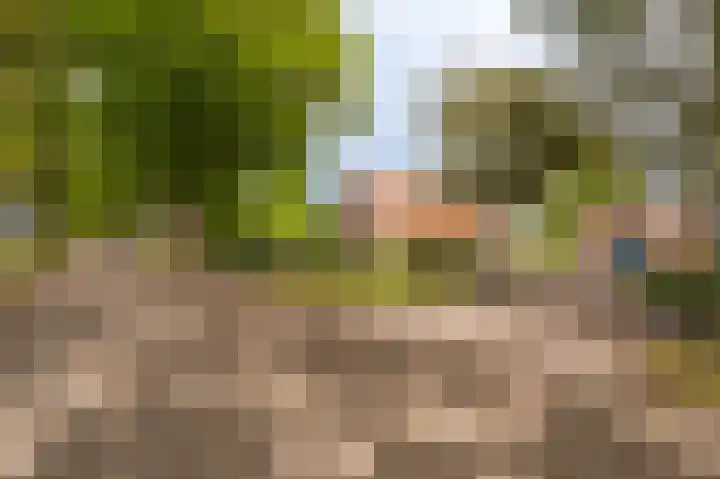 Kentersweg 19 Blijham thumbnail 71