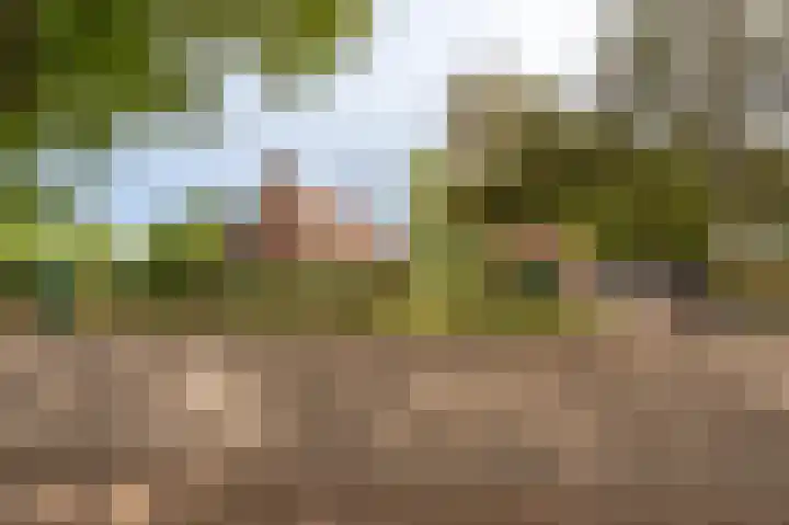 Kentersweg 19 Blijham thumbnail 72