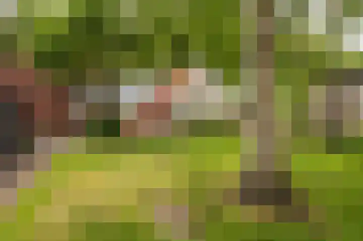 Kentersweg 19 Blijham thumbnail 77