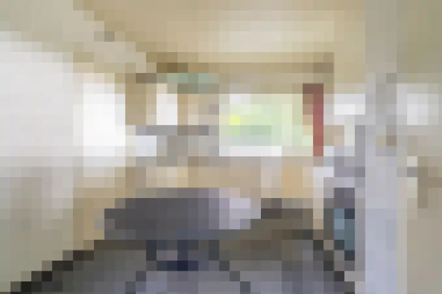 Kentersweg 22 Blijham thumbnail 12