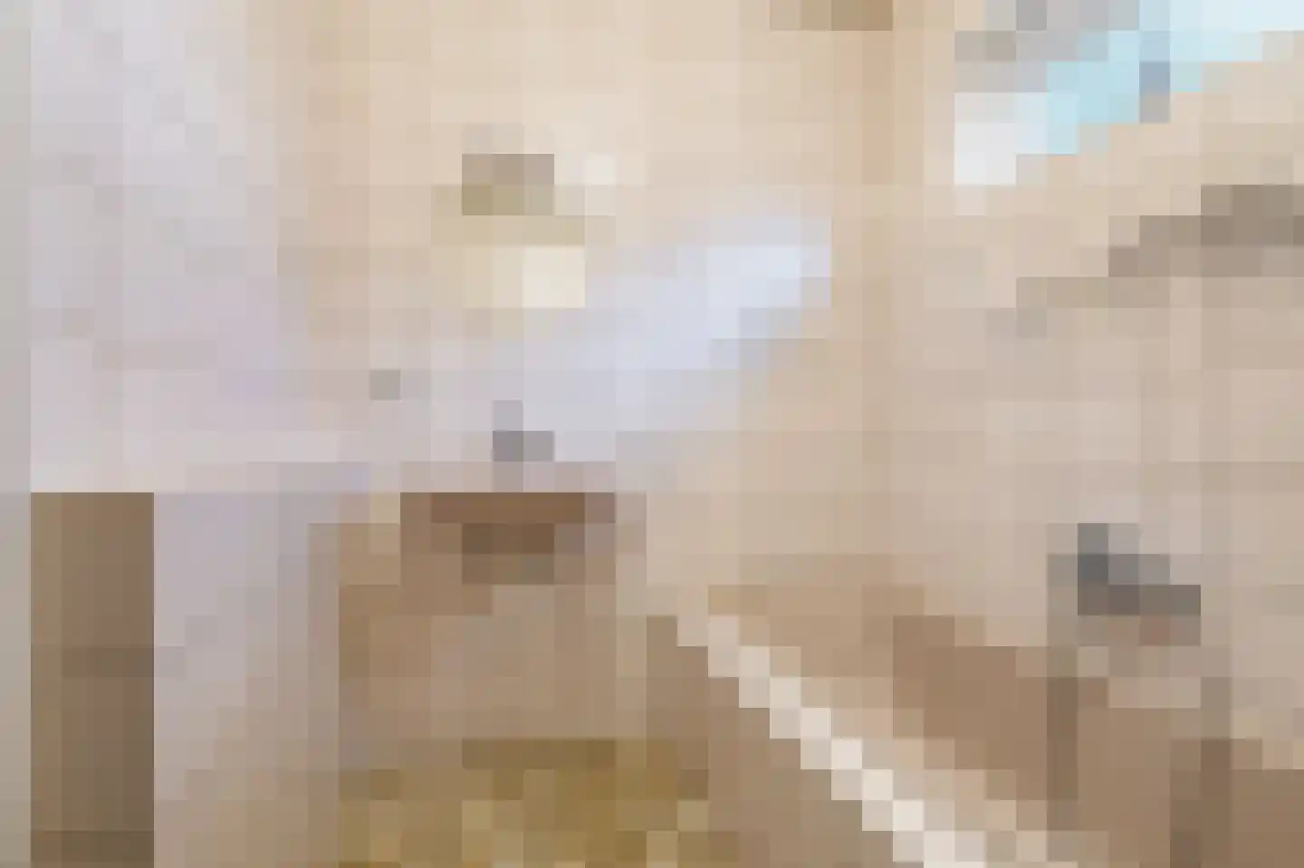 Kentersweg 22 Blijham thumbnail 23