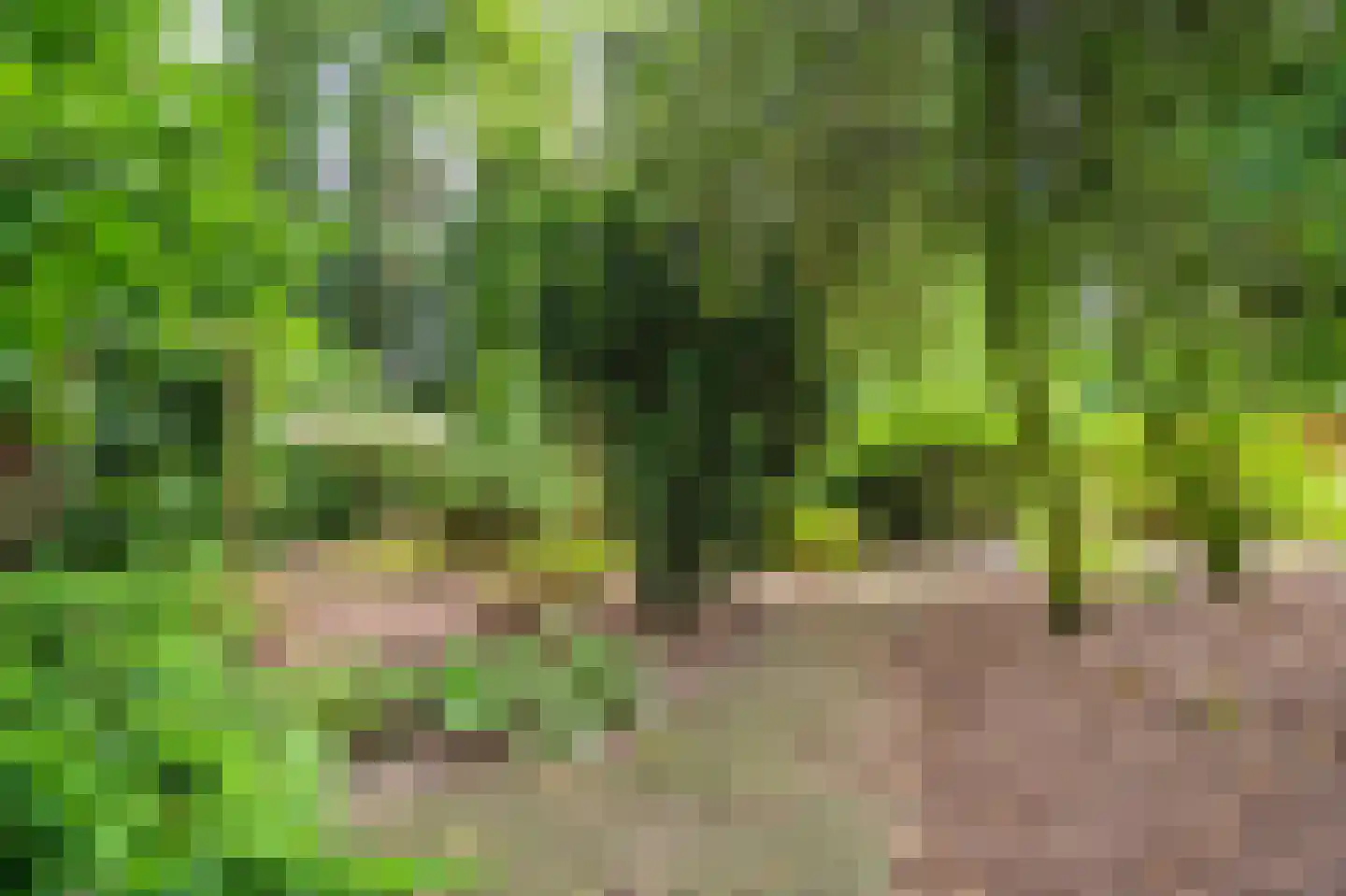 Kentersweg 22 Blijham thumbnail 34