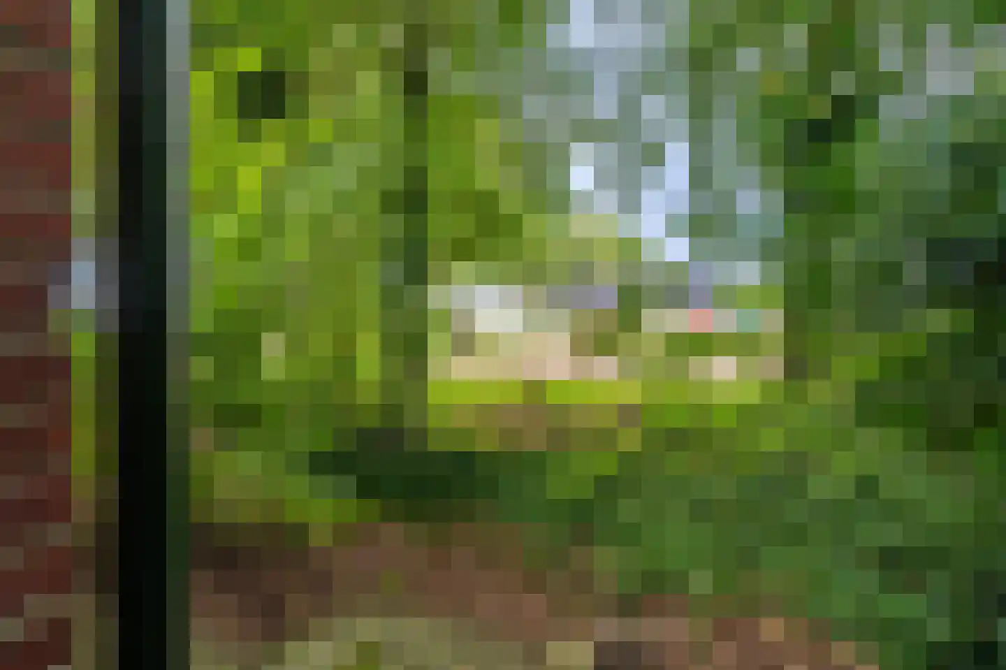 Kentersweg 22 Blijham thumbnail 35