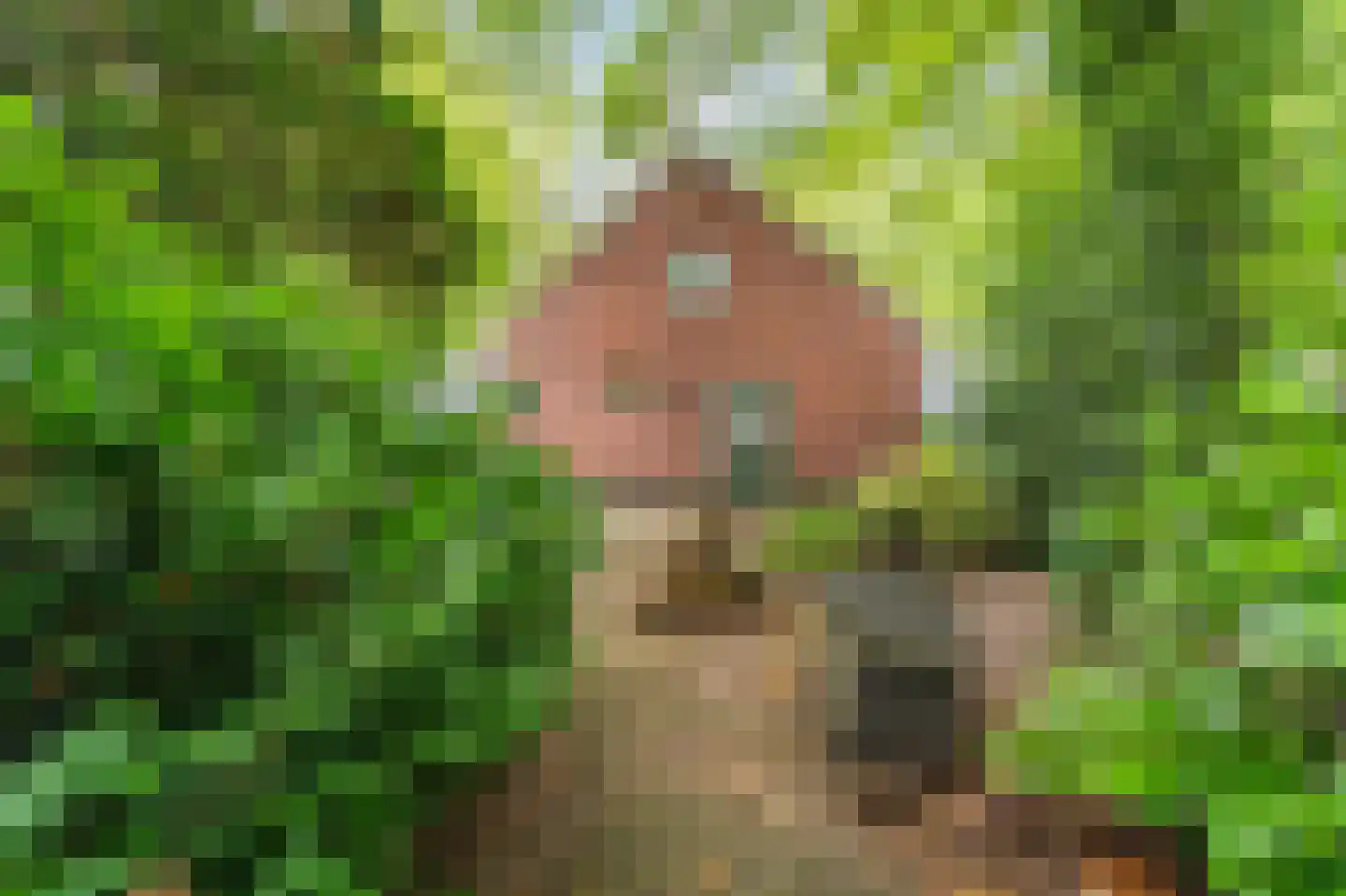 Kentersweg 22 Blijham thumbnail 36