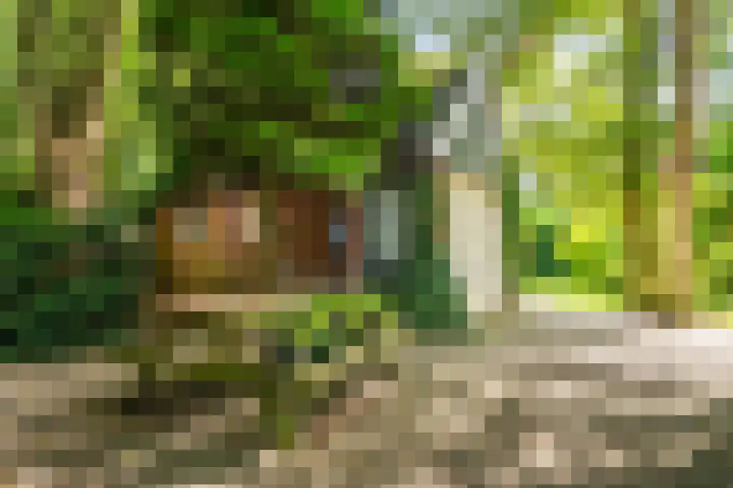 Kentersweg 22 Blijham thumbnail 37